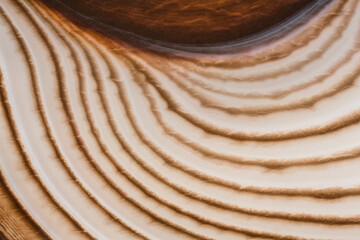 closeup texture with contrast agate brown light and dark lines