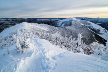 Fototapeta na wymiar Wonderful trail trough the summits, meadows and hills of Gaspésie on a cold winter morning, Quebec, Canada