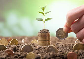 Young plant on the Euro coins. Finger that adds 2 euro to coins