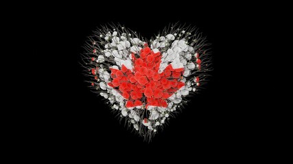 Canada National Day. Canada Day. July 1. Heart shape made out of flowers on black background. 3D rendering.