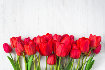 Spring holiday greeting card. Frame of red tulips on white wooden background. Space for text, flat lay