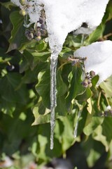 Air pockets in the Icicle