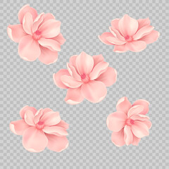 Fototapeta premium Bouquet realistic daffodil, flowers daffodil.