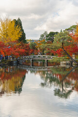 Fototapeta na wymiar Japanese fall autumn in Eikan do temple with red leaves