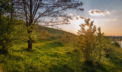 Obraz premium Summer moring among fields