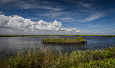 Fototapeta premium Beautiful Floridian winter landscape