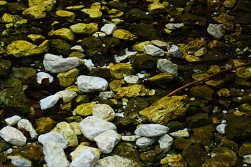 Stones under very still water
