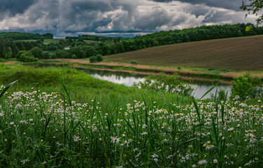 Fototapeta premium Summer landscape
