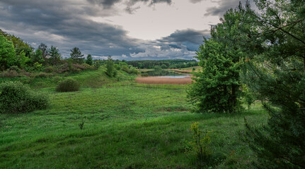 Summer landscape