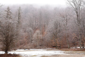 Fototapeta premium Frost over autumn landscape, with orange leaves still visible