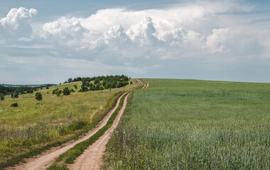 Field road in rural, farmland landscape, storm clouds at horizon