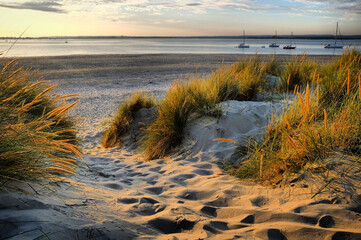 The sand dunes at West Wittering beach, West Sussex, UK