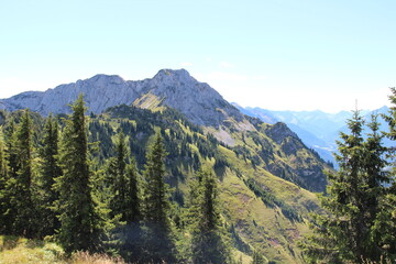 Fototapeta na wymiar Trees and Mountain range in Austria