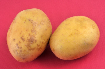 Pommes de terre en gros plan sur fond rouge