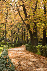 El Retiro Park in autumn.