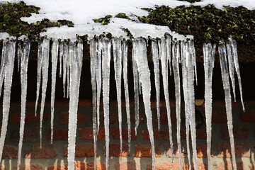 Closeup of row isolated sharp icicles hanging from reed roof of german timbered house on sunny day