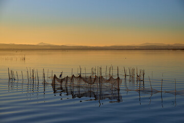 typical fishing system with rods and sticks, of the Valencia lagoon in Spain. sunset sky