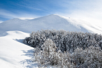 snow covered mountains