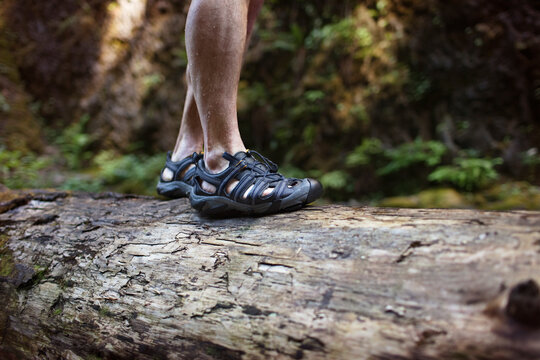 Low section of man walking on log in forest