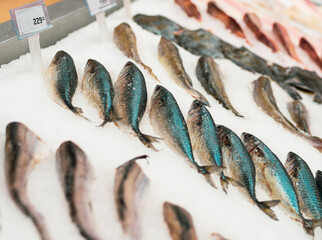 cooled sea fishes in market