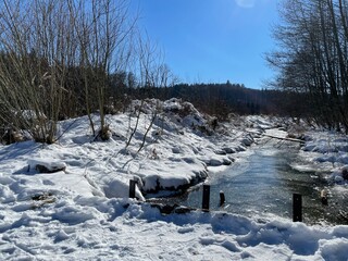 winter landscape with snow