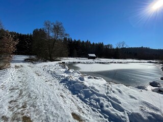 Obraz premium winter landscape with snow