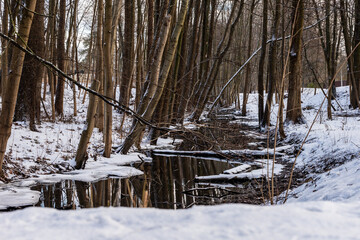 Winter day at not frozen creek, ditch, surrounded of snow and leafless tree trunks