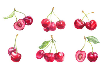 Watercolor cherry illustration. Hand drawn cherries set. Fresh sweet and tasty cherries. Watercolor botanical painting.