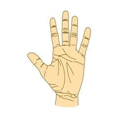 expression of hands and arms. number five