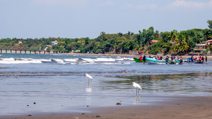 Masachapa Beach Nicaragua, fisher town, birds