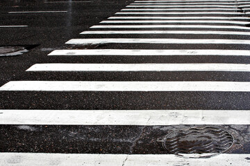 Street crosswalk on a rainy day. - obrazy, fototapety, plakaty
