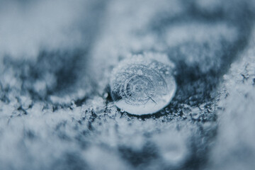 Ice drop in leaf