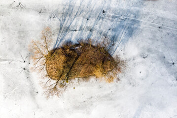 An island in a frozen pond.