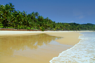 beach in Brazil 
