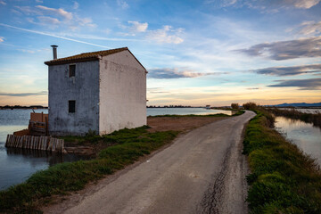 Paisaje de los arrozales valencianos.