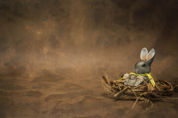 Easter bunny in nest on rustic broun background
