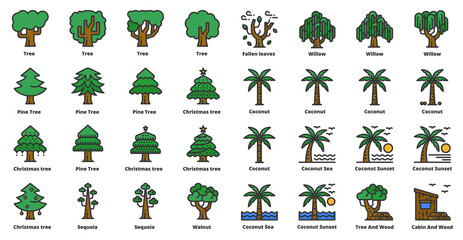 Tree  Icons Line Color Vector Illustration , Ecology, Nature, Wood