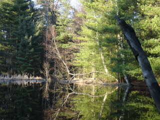 Landscape of lake in sunlight.