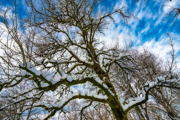 dia de excursión por la nieve