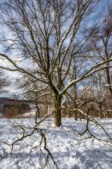 dia de excursión por la nieve