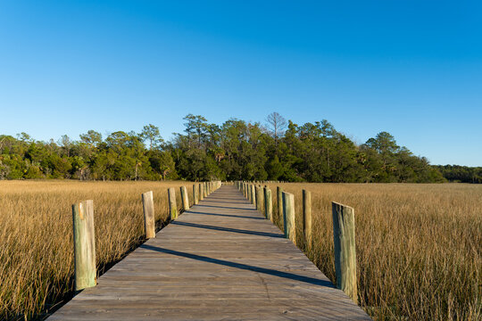 A raised wooden walking path cuts through marsh grass on a clear day