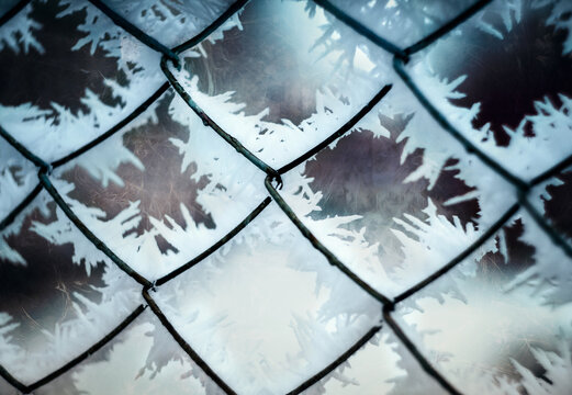The flowers on the frost glass. The frost flowers are on the window.