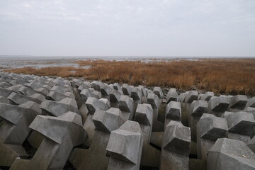 wide angle of sea wall (mole) and withered reeds and skyline