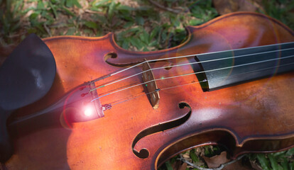 Blurred Violin put on green grass ground floor,
