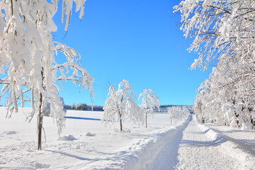 Winter