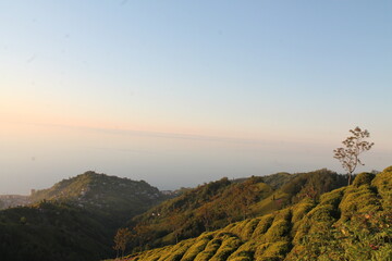 sunrise in the mountains