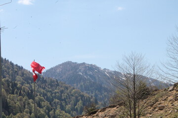 person standing on top of mountain