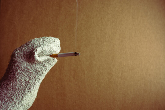 sock puppet smoking a cigarette.