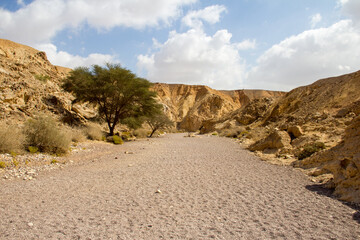 Path to red canyon Israel dessert