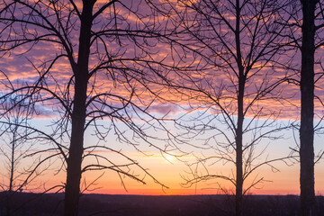 Sunrise viewed through bare branches